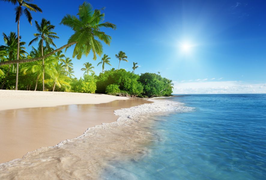 Картина на холсте Море, пальмы, солнце, арт hd0566101