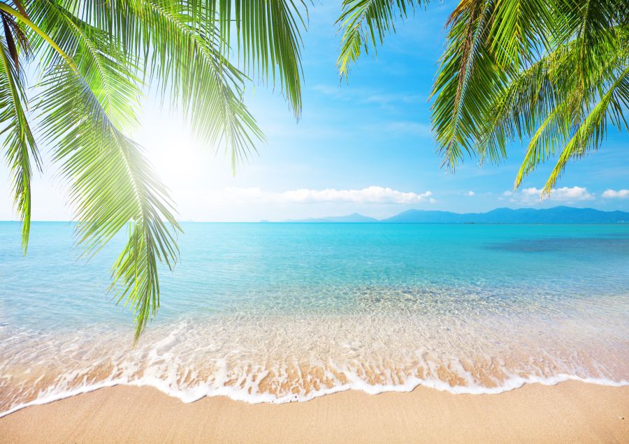 Картина на холсте море, пляж, листья пальмы, арт hd1365801