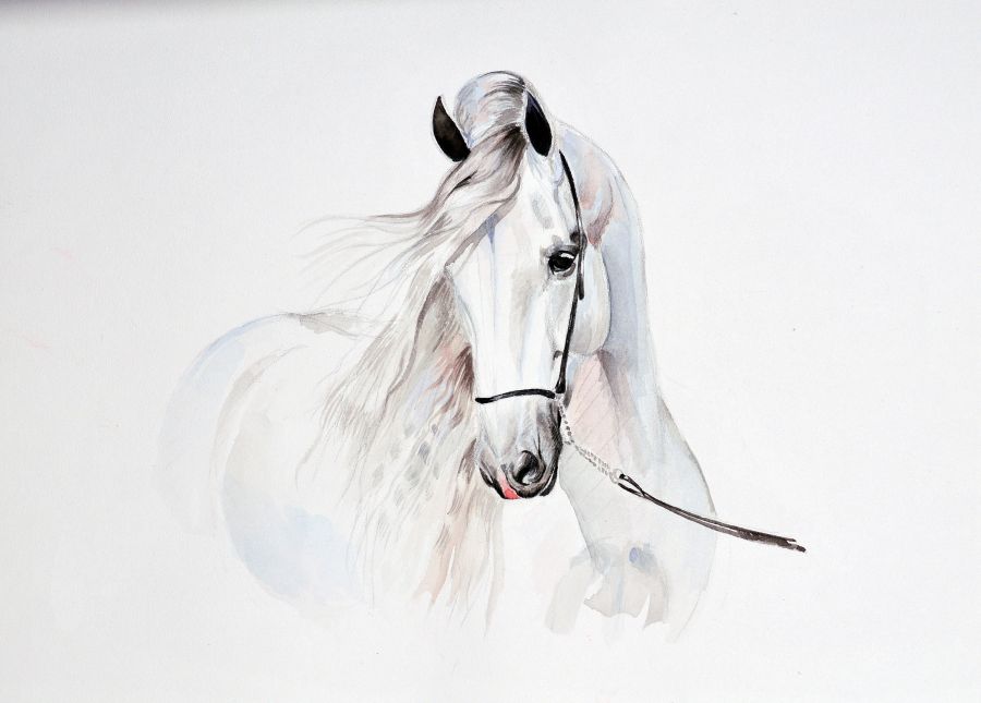 Фреска Белая лошадь