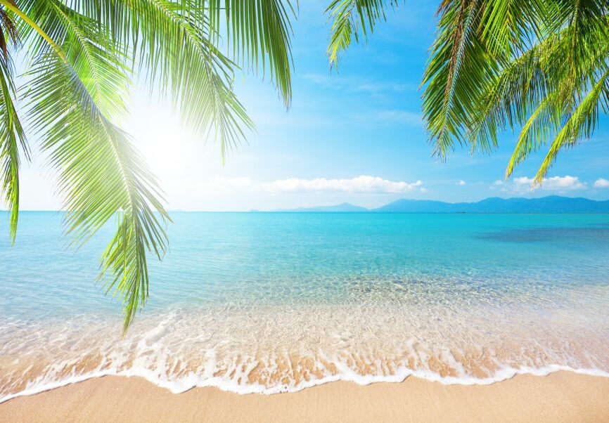 Картина на холсте море, пляж, листья пальмы, арт hd1365801