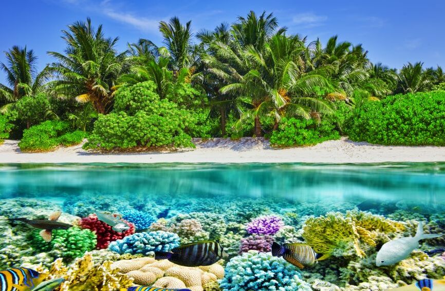 Картина на холсте Море, подводный мир, пляж с пальмами, арт hd0797001